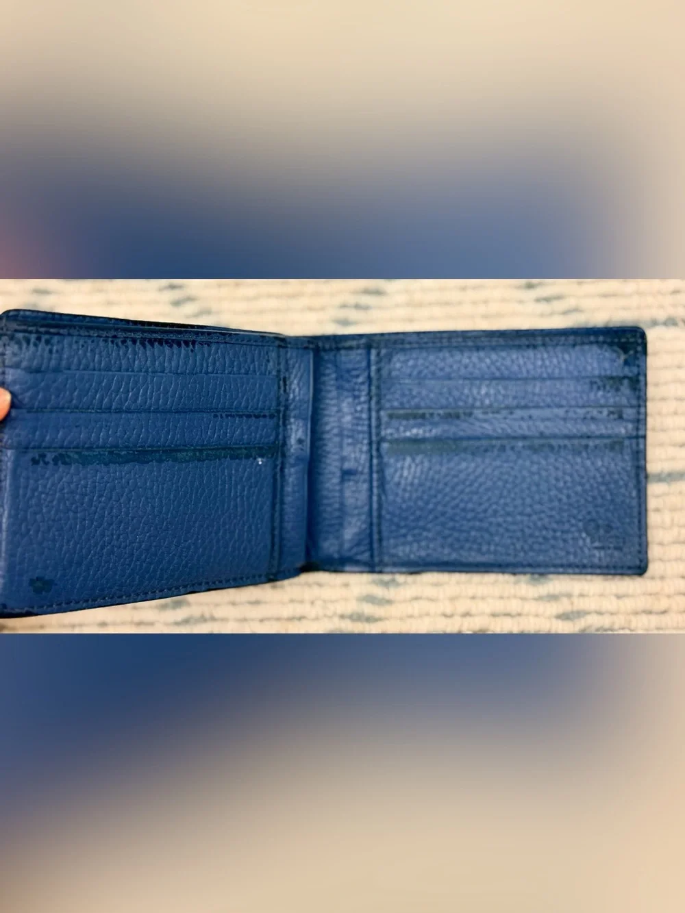 Gucci #gucci⁠ this ⁠bifold